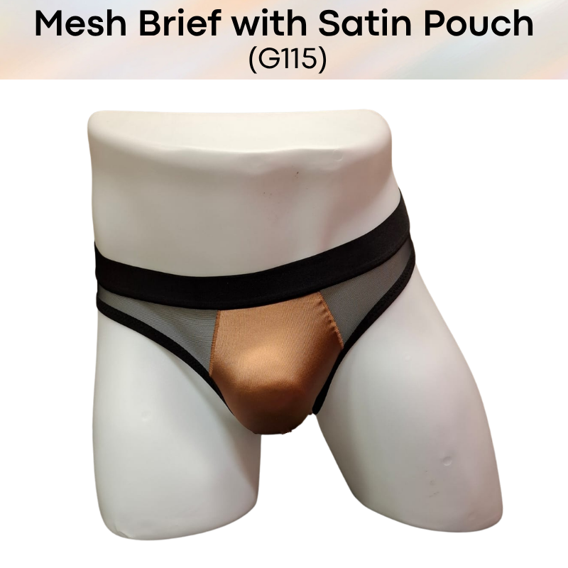 Men's Brief: Polyester Mesh See Through Brief with Satin Pouch Underwear (G115)