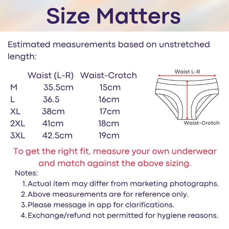 Men's Brief: Polyester Mesh See Through Bikini Brief Underwear (G113)