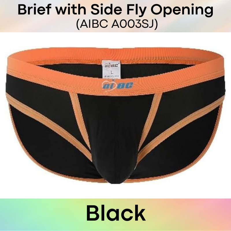 Men's Brief: Polyester Brief with Side Fly Opening Underwear (A003SJ)