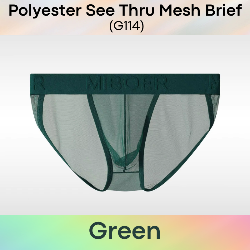 Men's Brief: Polyester Mesh See Through Brief Underwear (G114)