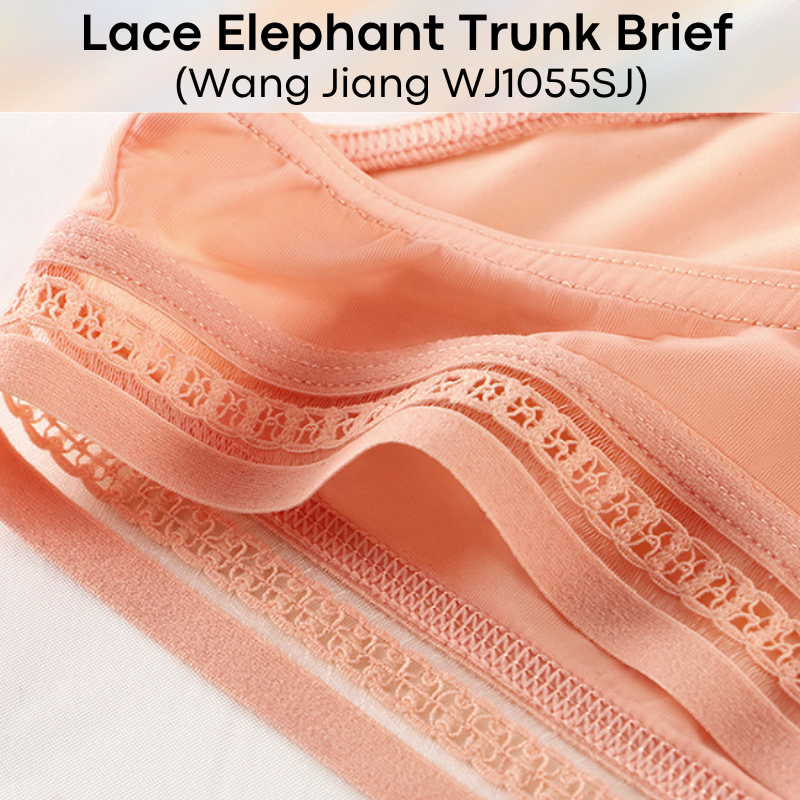 Men's Brief: Ice Silk Lace Waistband Brief with Elephant Trunk Pouch (WJ1055SJ)
