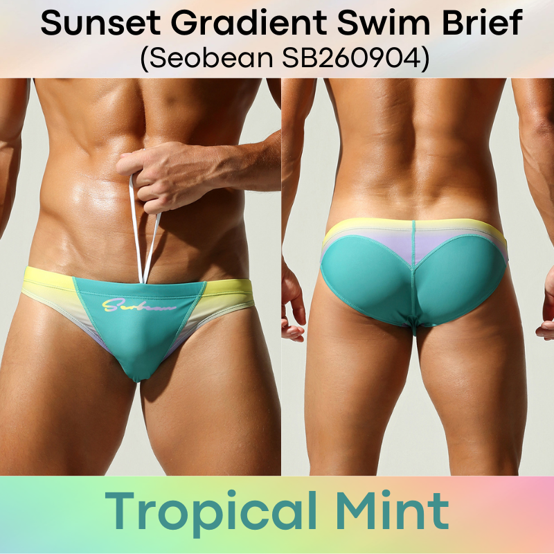 Lifestyle: Men's Sunset Gradient Printed Swimming Brief Trunks (SB260904)