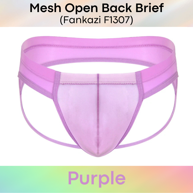 Men's Brief: Brief with Mesh See Through Underwear (F1307)