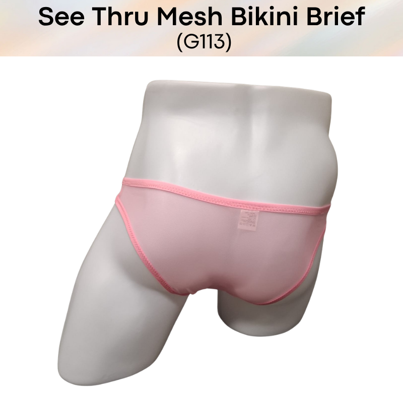 Men's Brief: Polyester Mesh See Through Bikini Brief Underwear (G113)