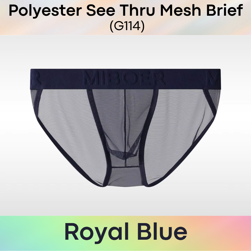 Men's Brief: Polyester Mesh See Through Brief Underwear (G114)