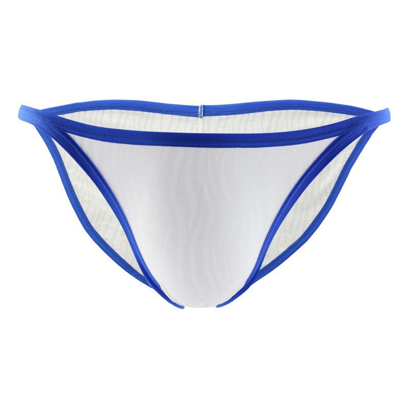 Men's Brief : Mesh Bikini Underwear (Fankazi F2005)