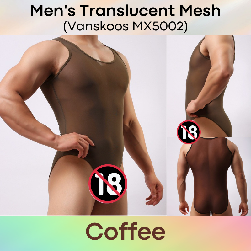 Men's Bodysuit : Translucent Mesh Brief (Vanskoos MX5002)