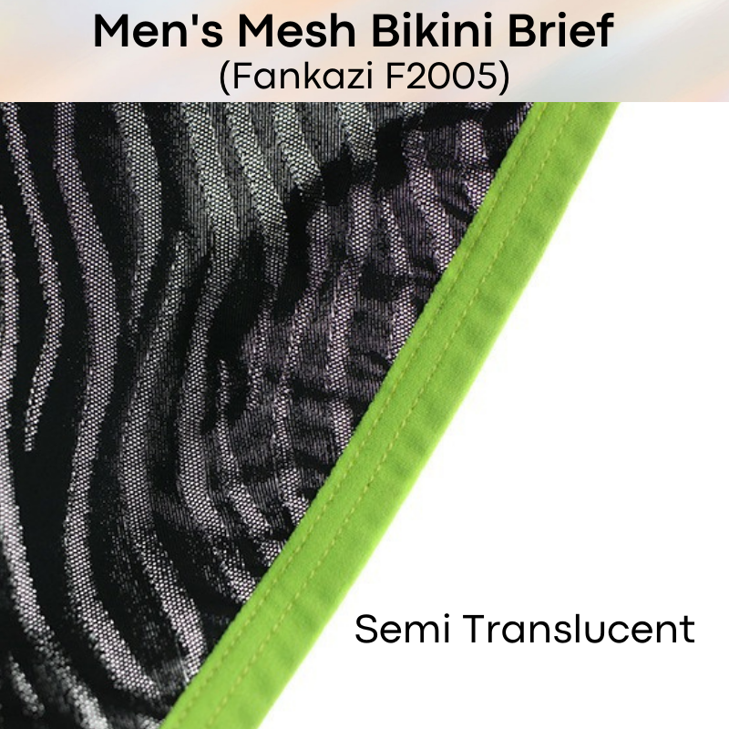 Men's Brief : Mesh Bikini Underwear (Fankazi F2005)