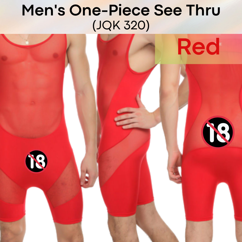 Men's Bodysuit : One-piece Mesh Suit Underwear (JQK320)