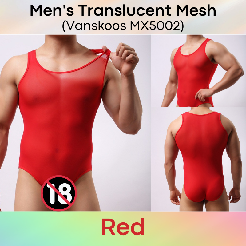 Men's Bodysuit : Translucent Mesh Brief (Vanskoos MX5002)