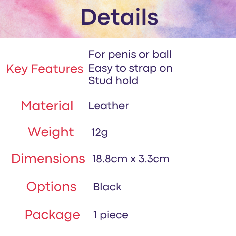 Adult Toy : Men's Penis/Ball Strap (Hottime 212401015)