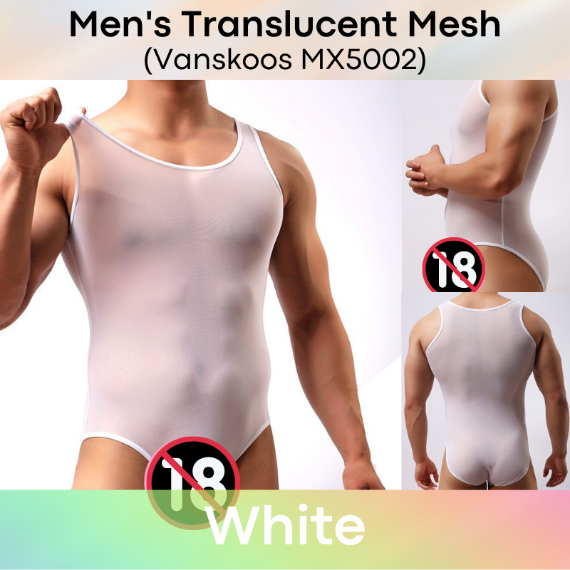 Men's Bodysuit : Translucent Mesh Brief (Vanskoos MX5002)