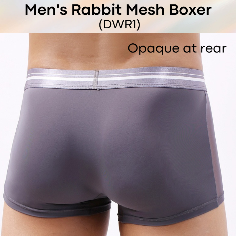 Men's Boxer : Mesh Front Opaque Rear with Cute Rabbit Print Underwear (DWR-1)