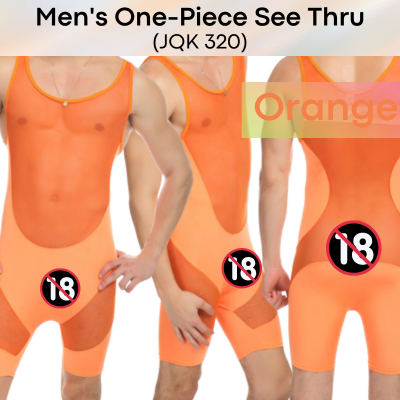 Men's Bodysuit : One-piece Mesh Suit Underwear (JQK320)