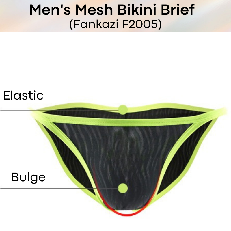 Men's Brief : Mesh Bikini Underwear (Fankazi F2005)